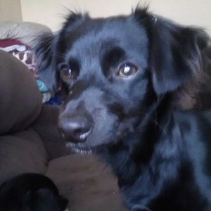 Meet your Posher, Patrica